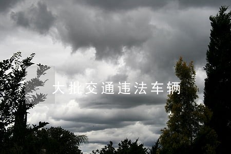 大批交通违法车辆 大批交通违法车辆