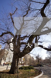 大批银行理财逾期