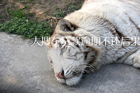 大搜车贷款逾期不还后果 大搜车贷款逾期不还后果