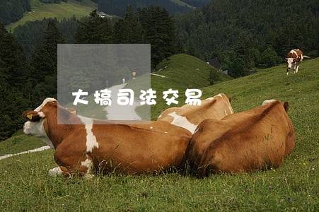 大搞司法交易 大搞司法交易