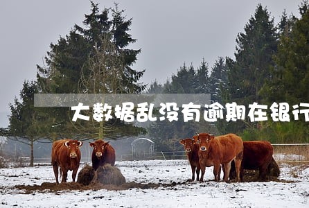 大数据乱没有逾期在银行贷款 大数据乱没有逾期在银行贷款