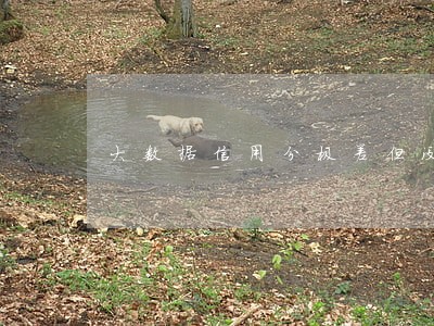 大数据信用分极差但没逾期过