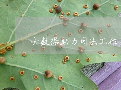 大数据助力司法工作