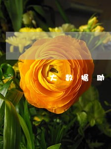 大数据助推检察司法体制改革