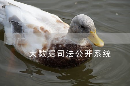 大数据司法公开系统 大数据司法公开系统