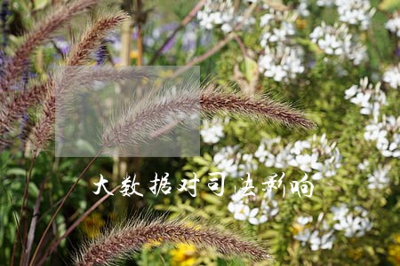 大数据对司法影响 大数据对司法影响