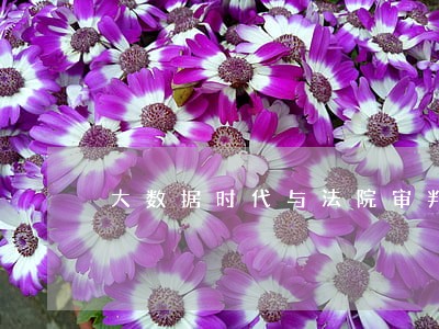 大数据时代与法院审判 大数据时代与法院审判