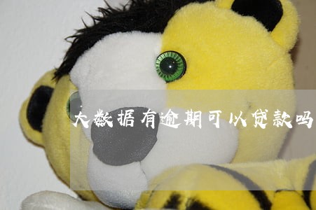 大数据有逾期可以贷款吗 大数据有逾期可以贷款吗