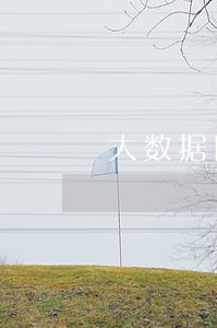 大数据网络信用报告有逾期 大数据网络信用报告有逾期