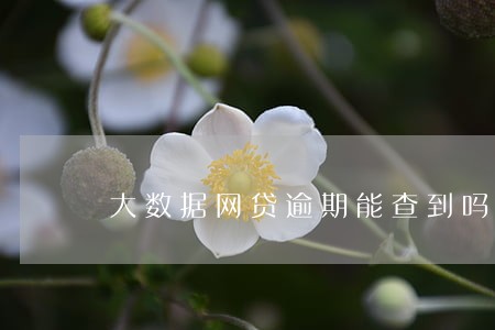大数据网贷逾期能查到吗