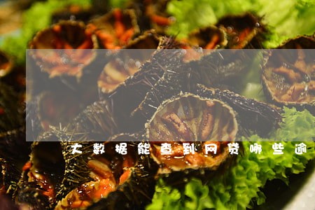 大数据能查到网贷哪些逾期了吗 大数据能查到网贷哪些逾期了吗