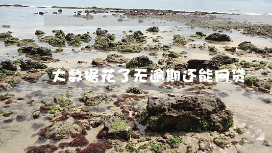 大数据花了无逾期还能网贷 大数据花了无逾期还能网贷