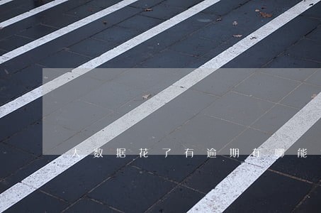 大数据花了有逾期在哪能贷款 大数据花了有逾期在哪能贷款