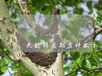 大数据逾期有什么办法贷款