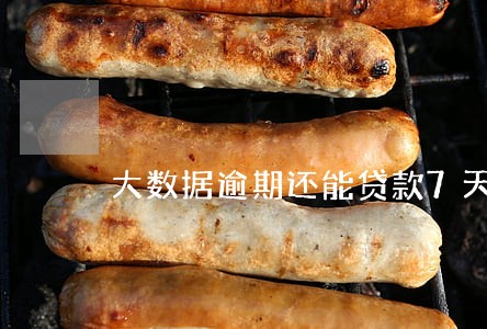 大数据逾期还能贷款7天口子吗 大数据逾期还能贷款7天口子吗