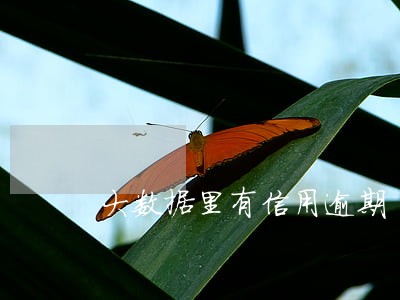 大数据里有信用逾期