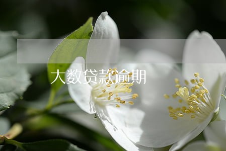 大数贷款逾期 大数贷款逾期