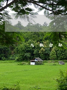 大数金融贷款逾期