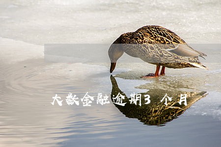 大数金融逾期3个月 大数金融逾期3个月