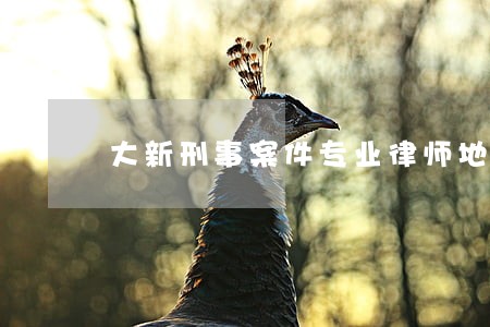 大新刑事案件专业律师地址 大新刑事案件专业律师地址
