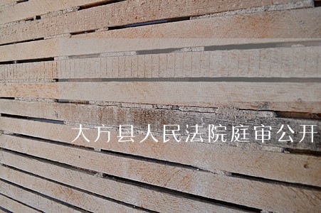 大方县人民法院庭审公开网