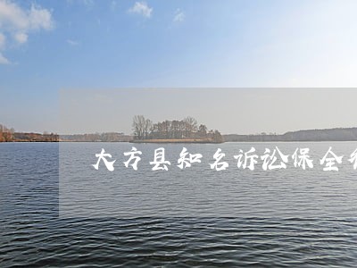 大方县知名诉讼保全律师 大方县知名诉讼保全律师