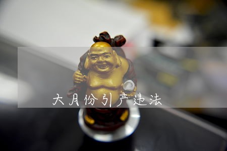大月份引产违法 大月份引产违法
