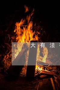 大有法律咨询服务 大有法律咨询服务