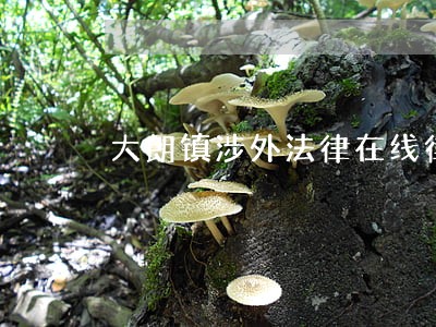 大朗镇涉外法律在线律师 大朗镇涉外法律在线律师