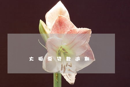 大板栗贷款逾期 大板栗贷款逾期