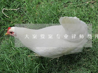 大案要案专业律师费用 大案要案专业律师费用