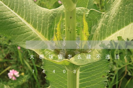 大棚饭店怎么建不违法/2023020174403 大棚饭店怎么建不违法/2023020174403