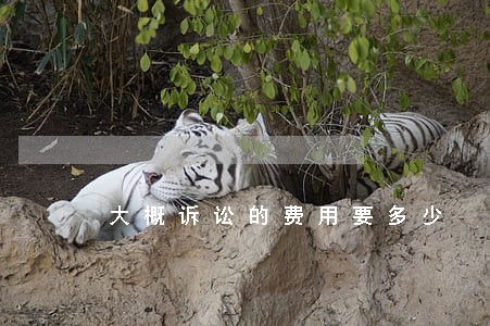 大概诉讼的费用要多少