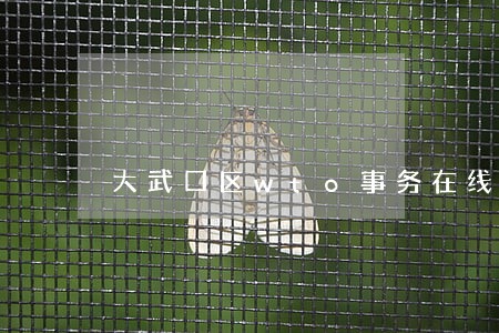 大武口区wto事务在线律师咨询