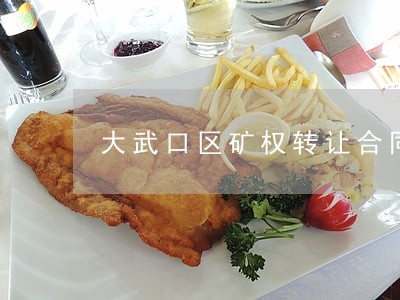 大武口区矿权转让合同律师 大武口区矿权转让合同律师