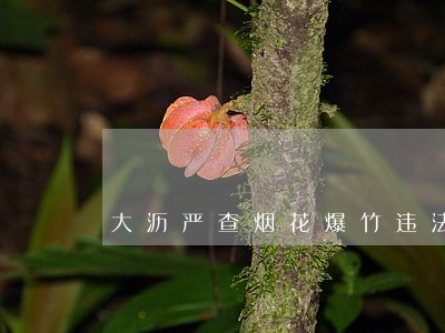 大沥严查烟花爆竹违法行为 大沥严查烟花爆竹违法行为