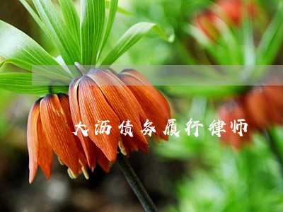 大沥债务履行律师 大沥债务履行律师