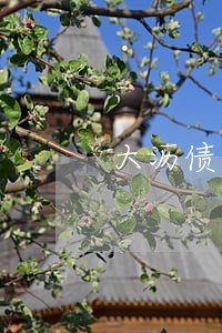 大沥债务豁免律师 大沥债务豁免律师