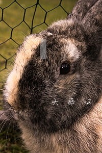 大沥公共法律援助机构