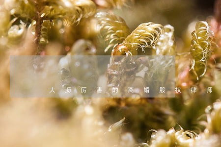大沥厉害的离婚股权律师
