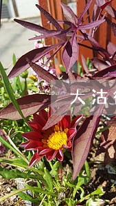 大沽街街道有法律援助吗 大沽街街道有法律援助吗