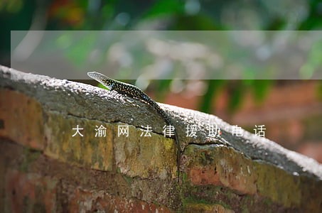 大渝网法律援助电话 大渝网法律援助电话