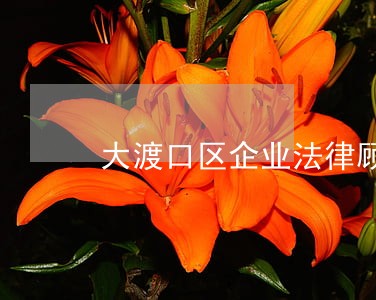 大渡口区企业法律顾问 大渡口区企业法律顾问