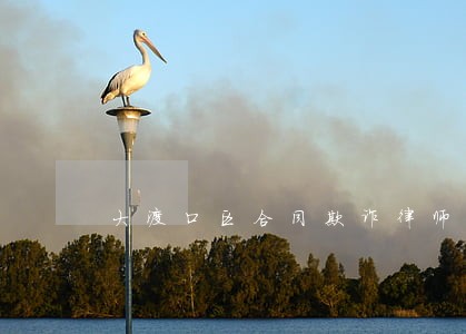 大渡口区合同欺诈律师热线 大渡口区合同欺诈律师热线