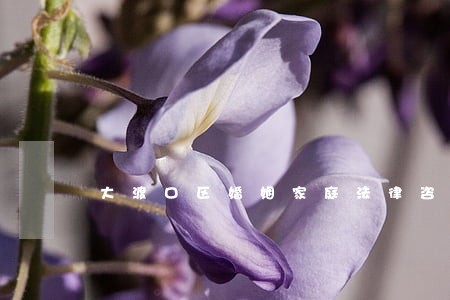 大渡口区婚姻家庭法律咨询 大渡口区婚姻家庭法律咨询