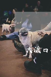 大渡口孙远强律师哪家有名 大渡口孙远强律师哪家有名