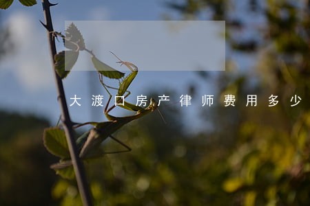 大渡口房产律师费用多少 大渡口房产律师费用多少