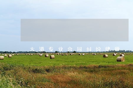 大港专业合同纠纷律师 大港专业合同纠纷律师