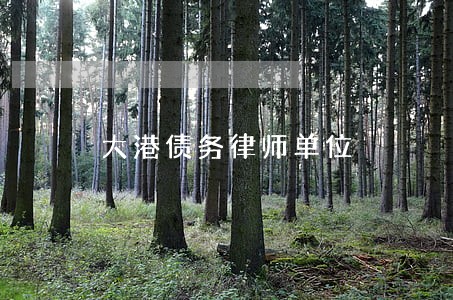 大港债务律师单位 大港债务律师单位