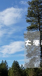 大港区劳动仲裁律师咨询 大港区劳动仲裁律师咨询